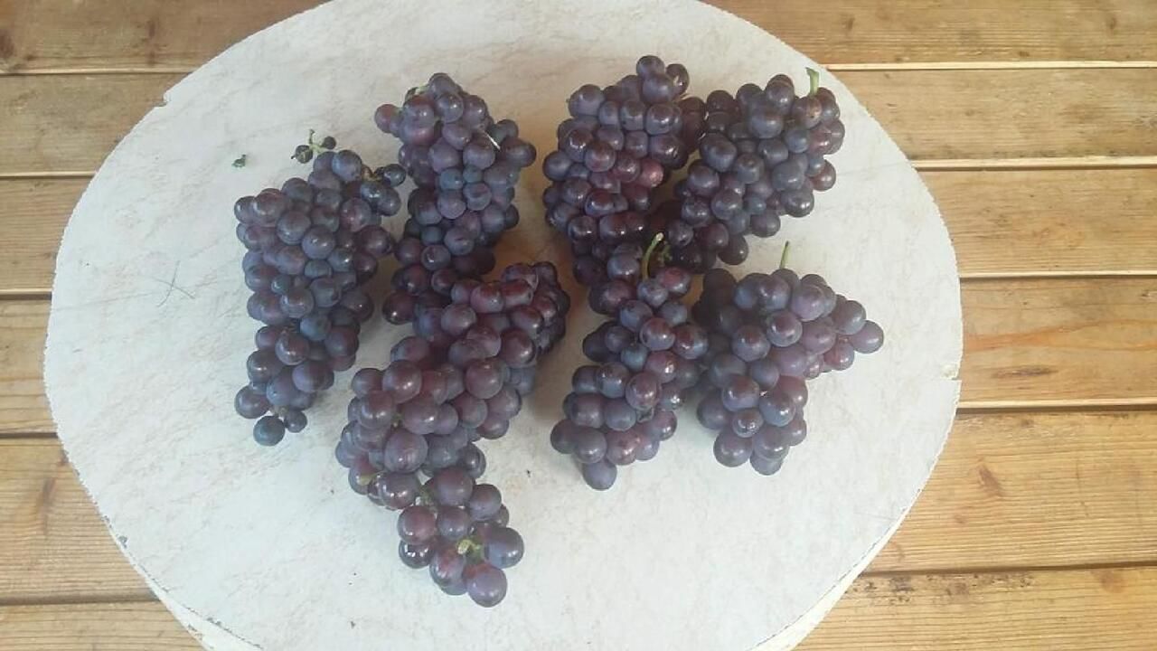 Гостевой дом Rooms Vojka Вирпазар-12