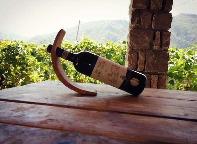 Гостевой дом Rooms Vojka Вирпазар-10